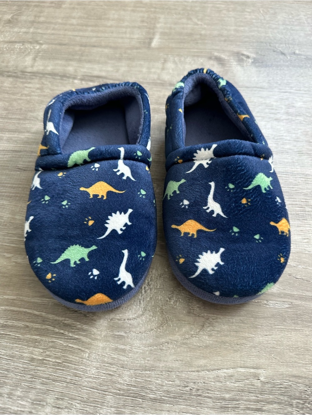 Dinosaur Slippers